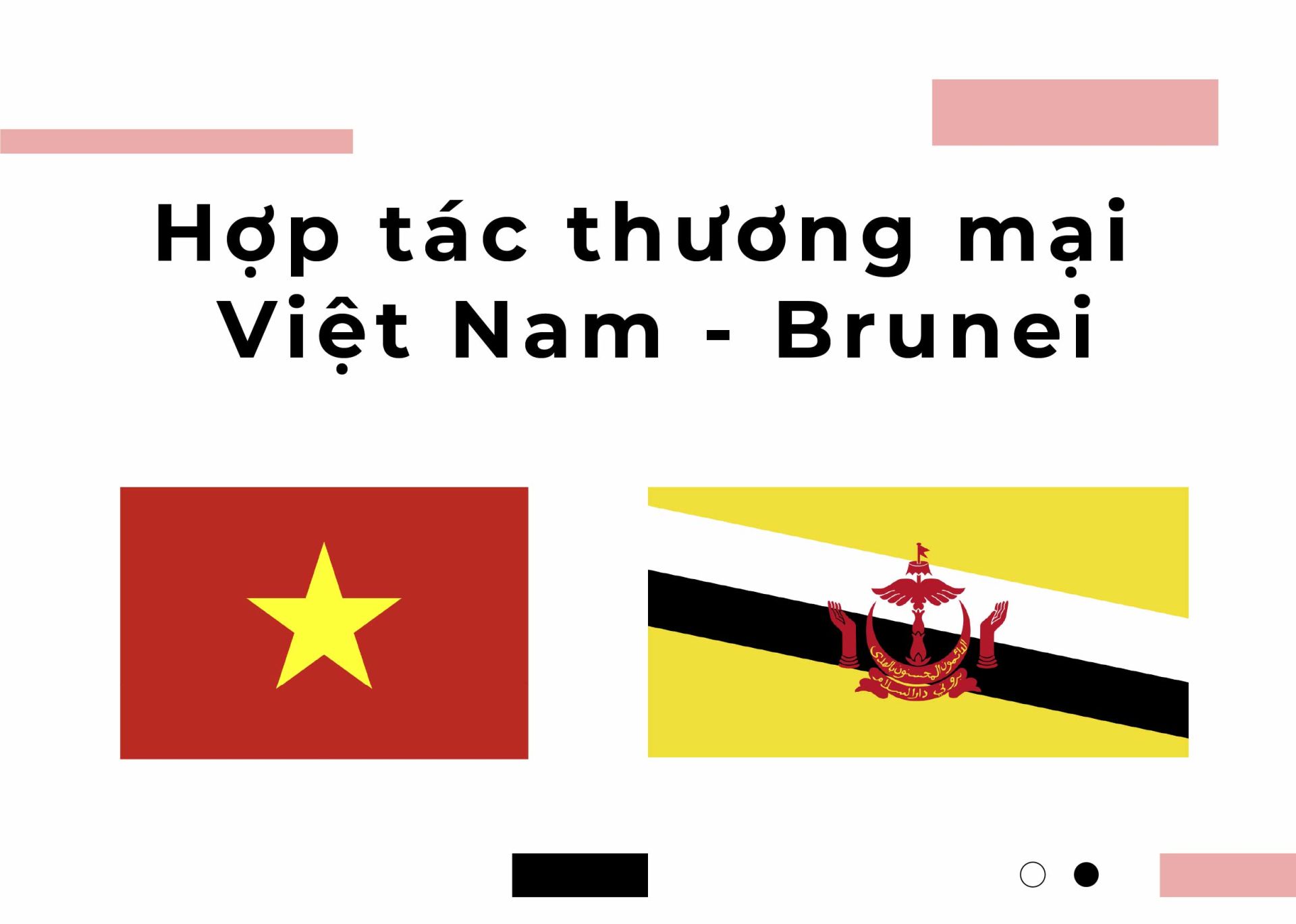 Hợp tác thương mại Việt Nam - Brunei