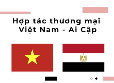 Hợp tác thương mại Việt Nam - Ai Cập