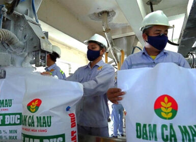 Một số sản phẩm của Nhà máy Đạm Phú Mỹ và Nhà máy Đạm Cà Mau