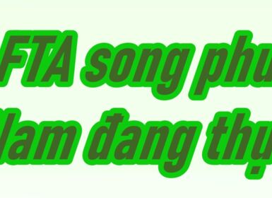 Các hiệp định thương mại tự do (FTA) song phương mà Việt Nam đang thực thi