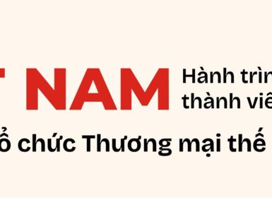 Việt Nam - hành trình trở thành thành viên thứ 150 của Tổ chức Thương mại Thế giới (WTO)
