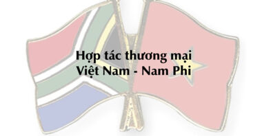 Hợp tác thương mại Việt Nam - Nam Phi