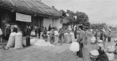 Đòn bẩy thương nghiệp (1955 - 1965)