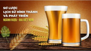 Sơ lược lịch sử hình thành và phát triển ngành rượu - bia Việt Nam