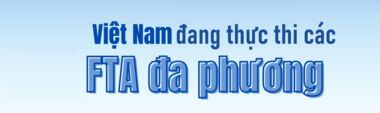 Các hiệp định thương mại tự do (FTA) đa phương mà Việt Nam đang thực thi