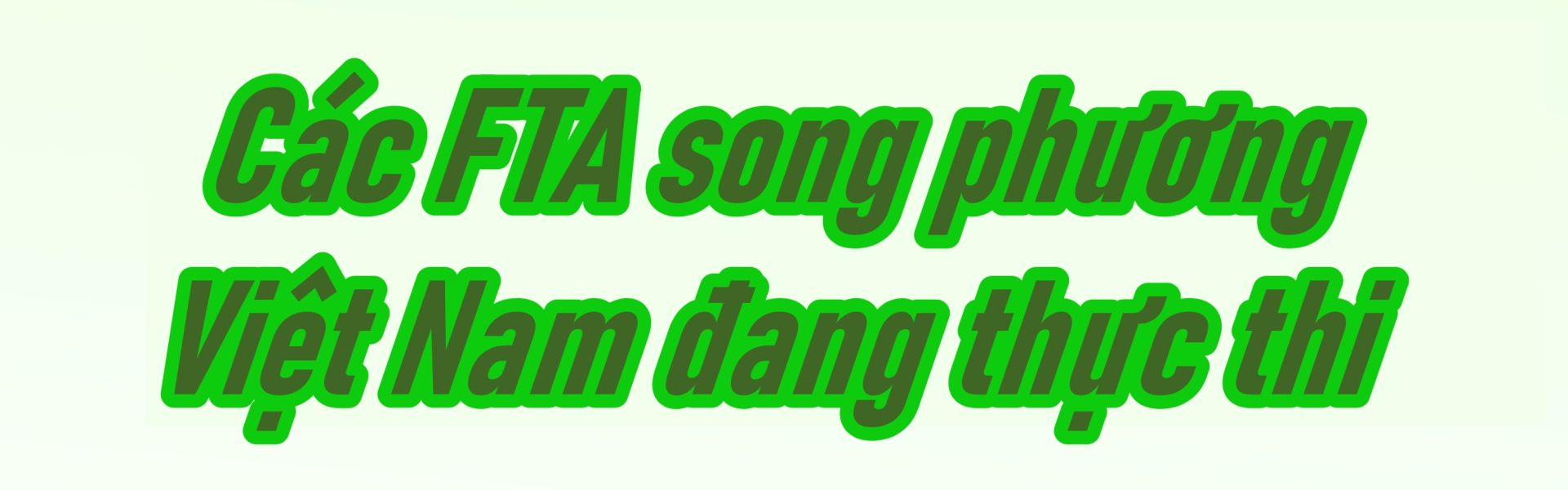 Các hiệp định thương mại tự do (FTA) song phương mà Việt Nam đang thực thi